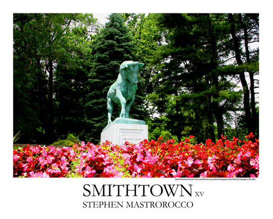 Smithtown Bull Color Horizontal Print# 6601