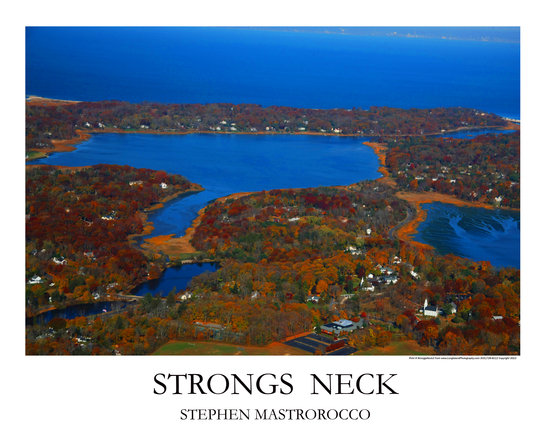Strongs Neck 2 Print# 6494