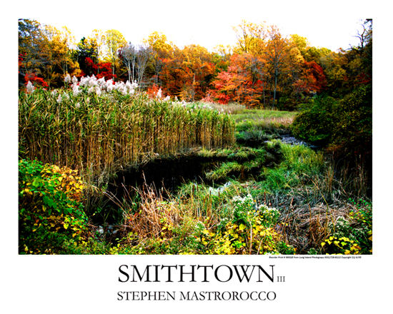 Nissequogue River Print# 6603