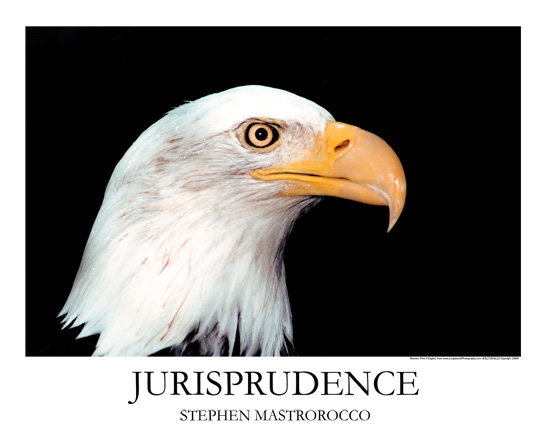 Jurisprudence Print# 9120