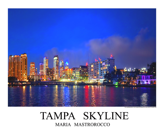 Tampa Print# 9410